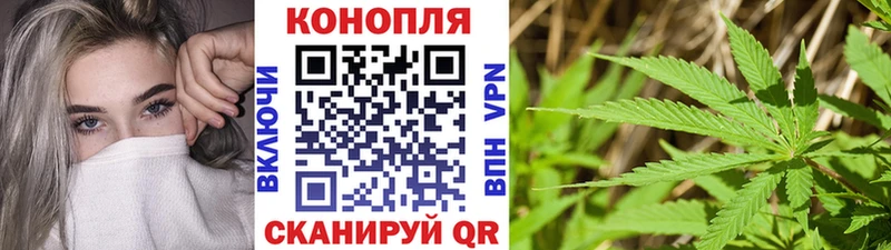 Как найти закладки Жиздра Alpha-PVP  Канабис  Мефедрон  ГАШИШ  Метадон  COCAIN 