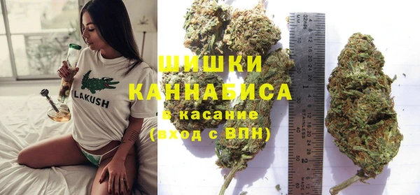 Альфа ПВП Аркадак